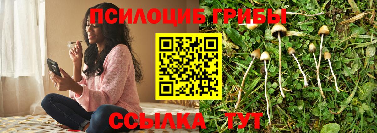 Псилоцибиновые грибы мухоморы  Галлюциногенные грибы Psilocybe  Советский  Вход с VPN 