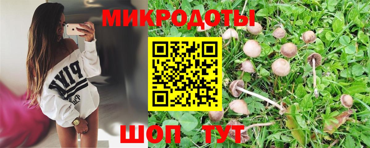 Галлюциногенные грибы Magic Shrooms Советский